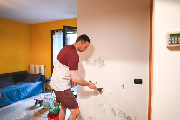 Office Mold Removal Services in Forestdale, MA